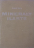 Minerały ilaste