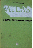 Atlas chorób i szkodników warzyw