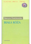Biała róża