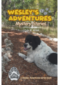 Wesley's Adventures