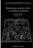 Modernizacja struktur władzy w warunkach opóźnienia