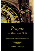 Prague in Black and Gold