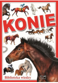 Konie