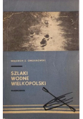 Szlaki wodne wielkopolskie