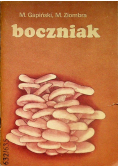Boczniak