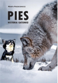 Pies. Historia gatunku