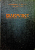 Kratownice obliczenia statyczne