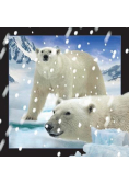 Pocztówka 3D Niedźwiedzie Polarne w śniegu