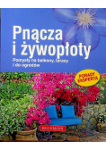 Pnącza i żywopłoty