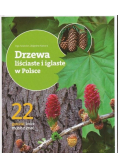 Drzewa liściaste i iglaste w polsce