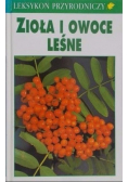 Leksykon przyrodniczy Zioła i owoce leśne