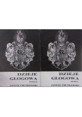 Dzieje Głogowa tom I i II
