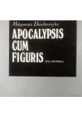 Apocalypsis Cum Figuris Opis Spektaklu