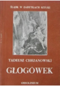 Śląsk w zabytkach sztuki Głogówek