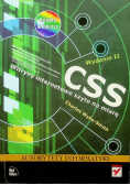 CSS Witryny internetowe szyte na miarę