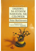 Drzewo na którym narodził się człowiek Wydanie kieszonkowe