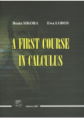 A first course in calculus
