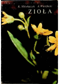 Zioła