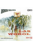 Las wokół audiobook