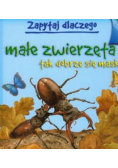 Zapytaj dlaczego małe zwierzęta tak dobrze się maskują