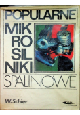 Popularne mikrosilniki spalinowe