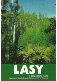 Lasy i gospodarka leśna