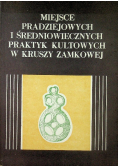 Miejsce pradziejowych i średniowiecznych praktyk kultowych w Kruszy Zamkowej