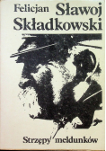 Strzępy meldunków