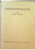 Endokrynologia