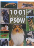 1001 portretów psów