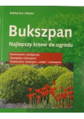 Bukszpan