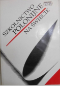 Szkolnictwo polonijne na świecie