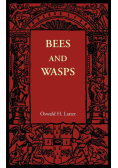 Bees and Wasps