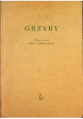 Grzyby