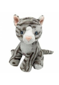 Kot Emil 20cm