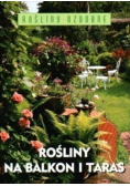 Rośliny na balkon i taras
