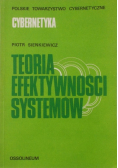 Teoria efektywności systemów