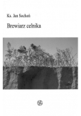 Brewiarz celnika