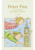 Peter Pan and Peter Pan in Kensington Gardens