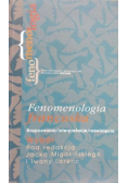 Fenomenologia francuska