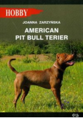 American pit bull terier