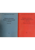 Historia literatury Stanów Zjednoczonych w zarysie  2 tomy