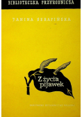 Z życia pijawek