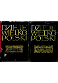 Dzieje wielkopolski 2 tomy