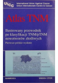 Atlas TNM