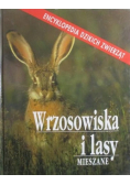 Wrzosowiska i lasy mieszane