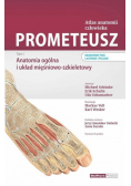 Prometeusz Atlas anatomii człowieka Tom 1