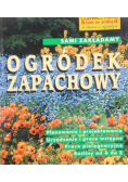 Sami zakładamy ogródek zapachowy
