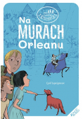 Na murach Orleanu