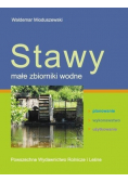 Stawy